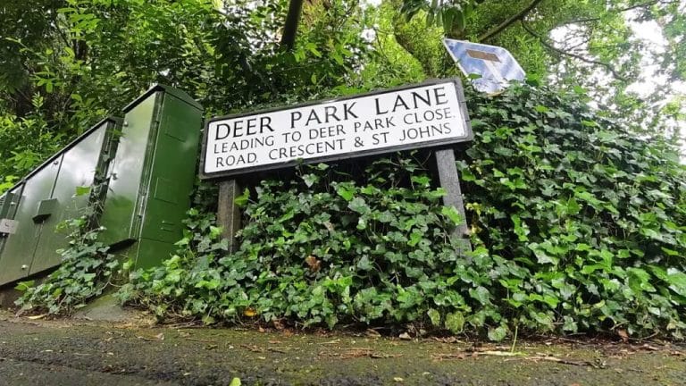 pothole car; Pothole on Deer Park Lane