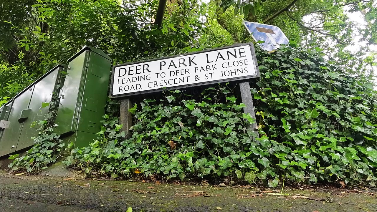 Dailymotion Pothole on Deer Park Lane